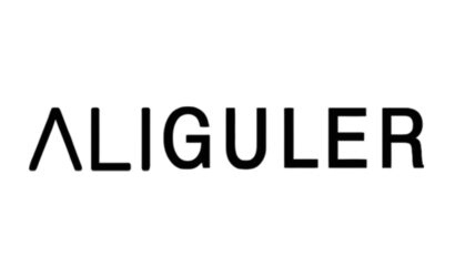 aliigulerlogoweb-900x500